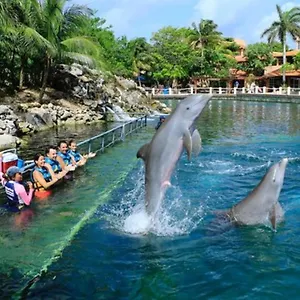 Increible Estudio En Puerto Aventuras, Con Alberca # 201 Apartamento Puerto Aventuras